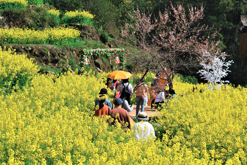 这份原生态，守住了春天最硬核的美！