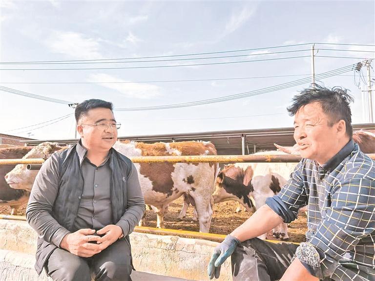 马小军：把梦想种在黄土地上