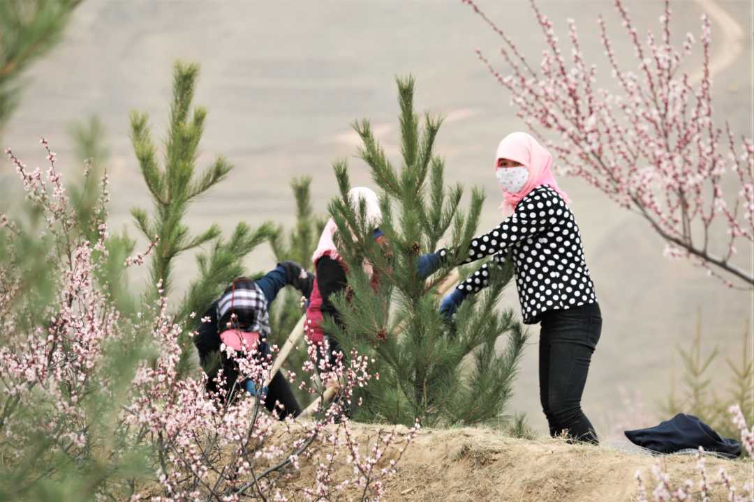 1W3A6357.jpg 1W3A6357.jpg