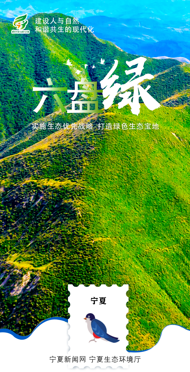 环境日-04.png
