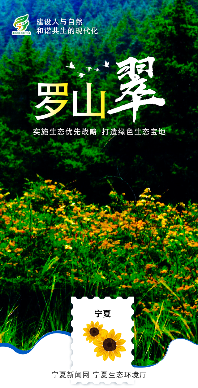 环境日-05.png