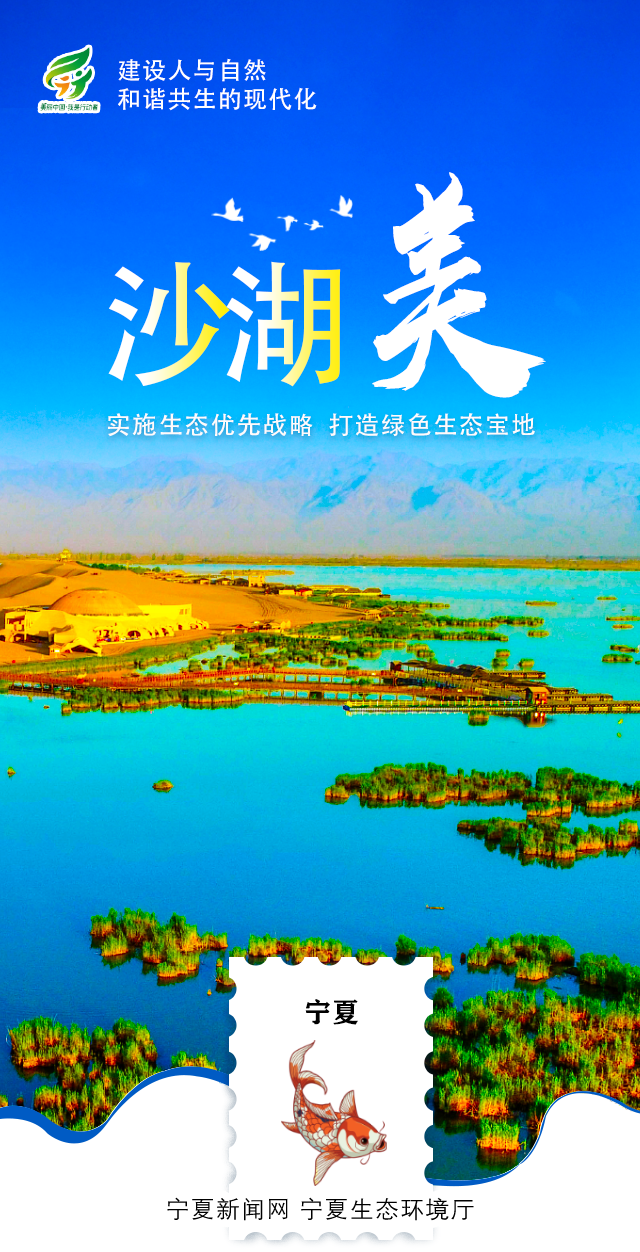 环境日-06.png