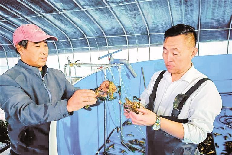 盐碱地变成渔业宝地