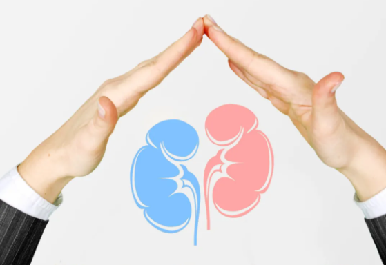 肾脏 “悄悄变老”，这些信号别忽视