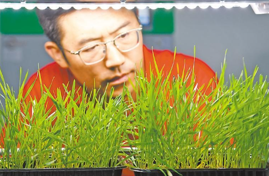 以虫治虫，除害且有益