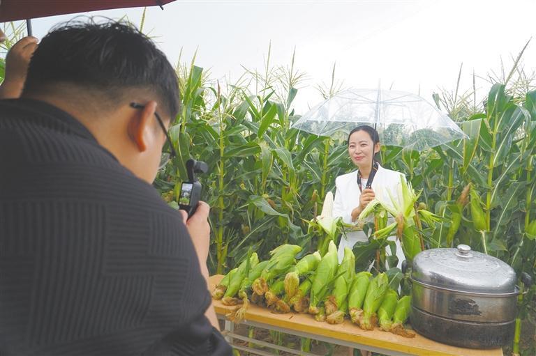 从云端到田埂：空乘武娟跨界“起飞”