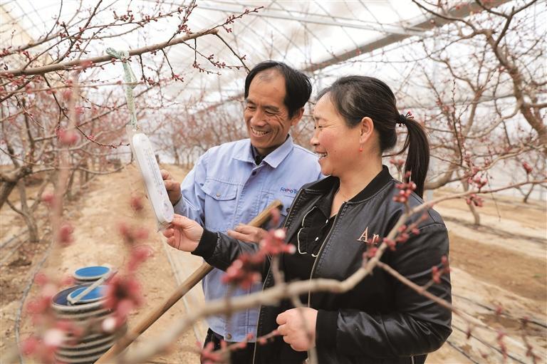 长城村“脸谱”