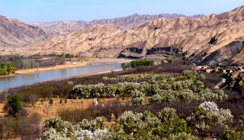 春日里的“宁夏黄河第一村”