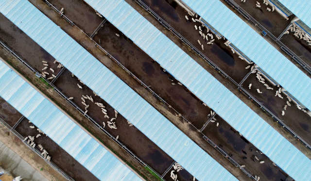 DJI_0085.JPG
