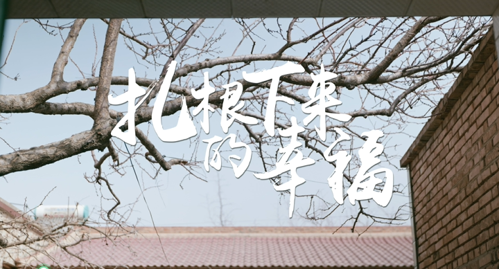 何鹏飞-扎根下来的幸福