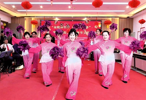 社区文艺汇演迎新春