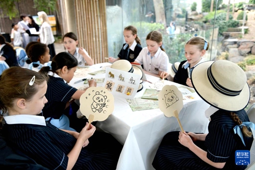 澳大利亚“国际中文日”活动