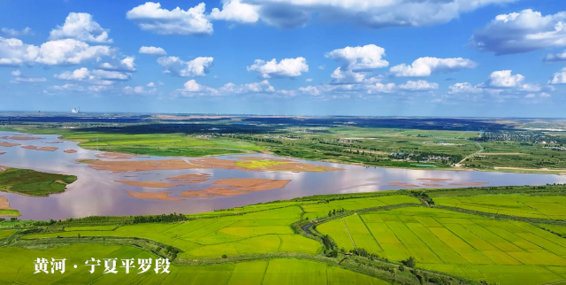 宁夏平罗：九曲黄河润沃野 两岸风光似画廊
